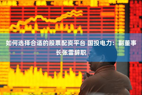 如何选择合适的股票配资平台 国投电力：副董事长张雷辞职