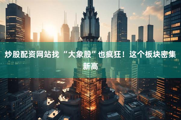 炒股配资网站找 “大象股”也疯狂！这个板块密集新高
