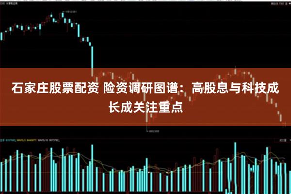 石家庄股票配资 险资调研图谱：高股息与科技成长成关注重点
